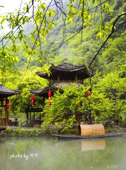鸡苗价格暴涨 有订单排至春节后